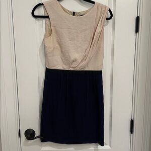 Elegant Two-Tone Sleeveless Dress
